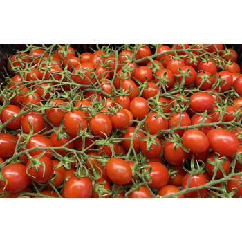 Tomate Cherri Rama